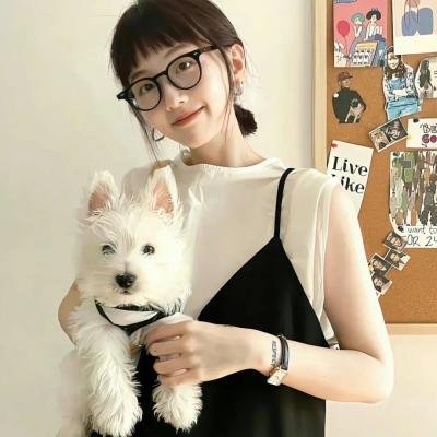 驯鹿游戏